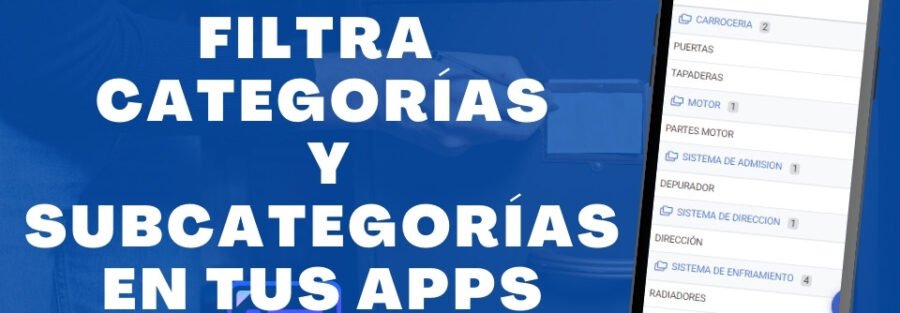 Filtrar Categorías y Subcategorías